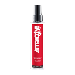 SPRAY FIXANT DUCASTEL 200ML