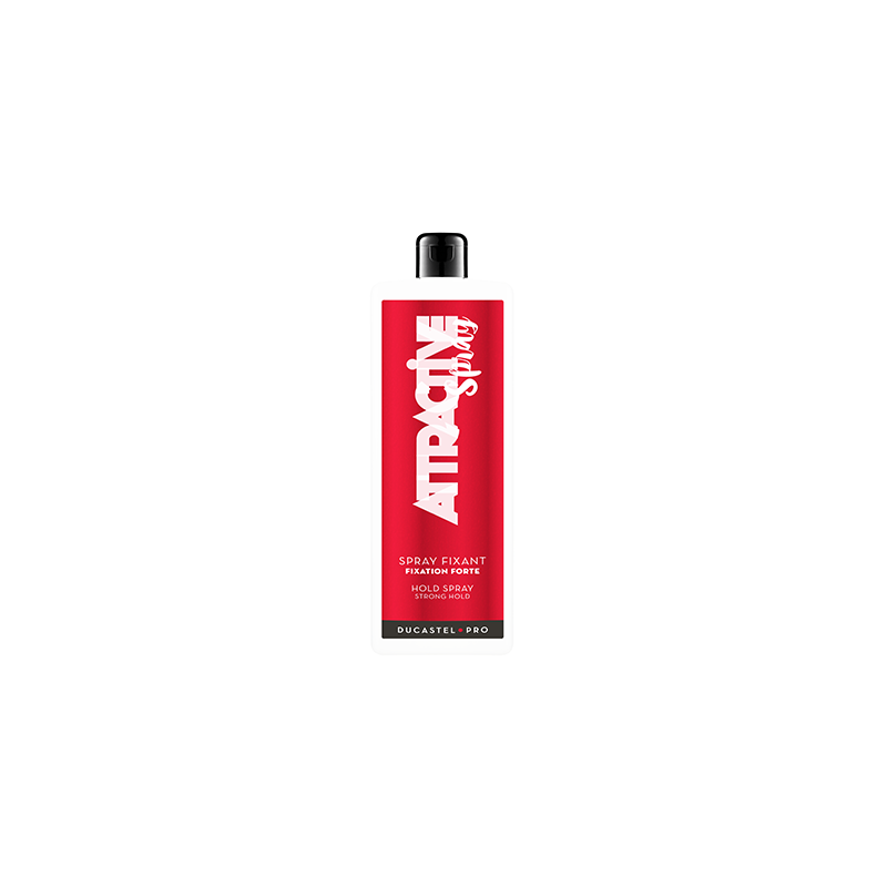 RECHARGE SPRAY FIXANT DUCASTEL 1L