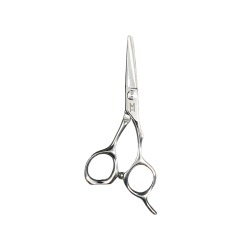 Ciseaux Petrucciani Mashiro 4.5