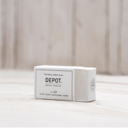 PIERRE D'ALUN DEPOT 409