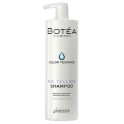 SHAMPOING BOTEA SILVER 1L